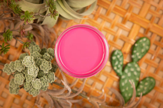 Prickly Pear Silk All-In-One Mineral Paint®