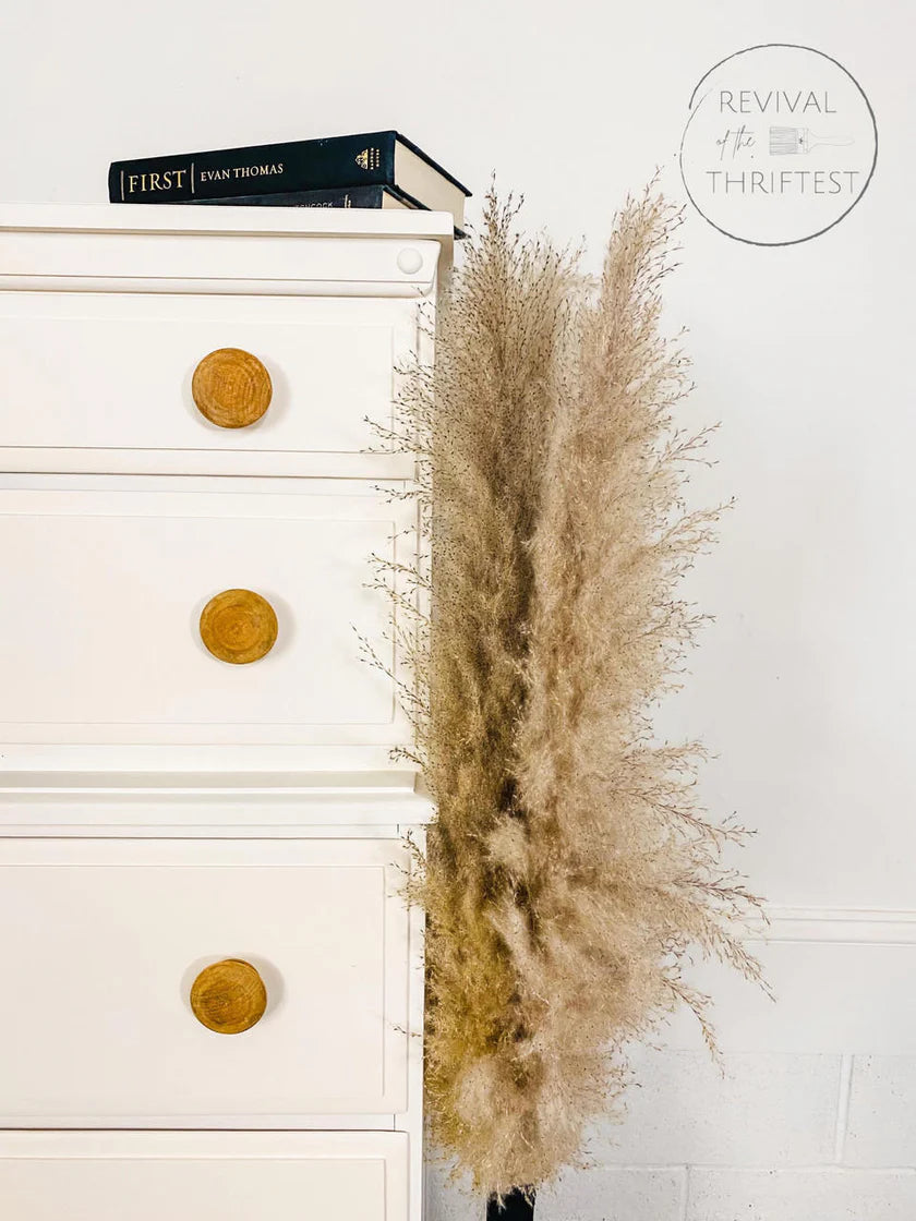 Salt Water Silk All-In-One Mineral Paint