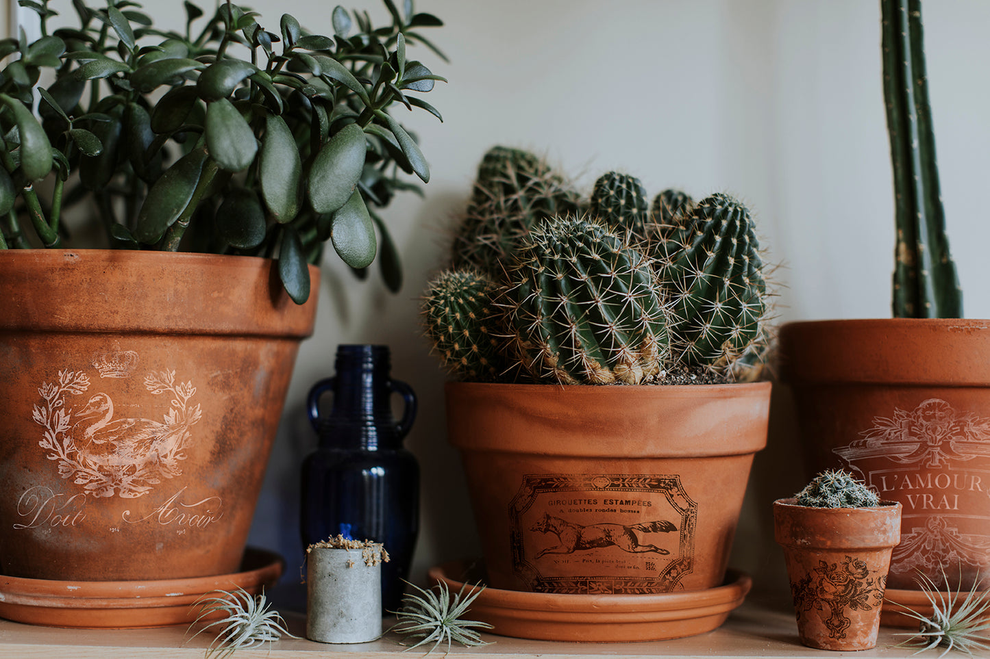 IOD Traditional Pots Transfer